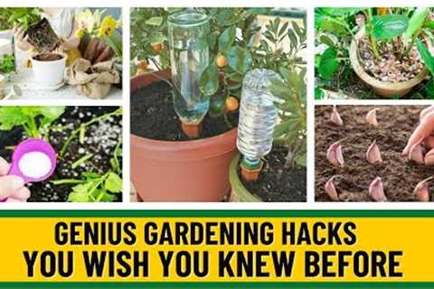 Genius Gardening Hacks That Actually Work