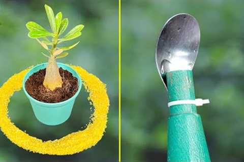 🌱 5 NEW Genius Garden Hacks That Will Save You Hundreds! 🌱
