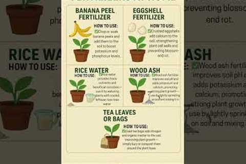 5 DIY Plant Fertilizer at Home #plants #garden #gardening #plantcare #fertilizer #fertilizertips