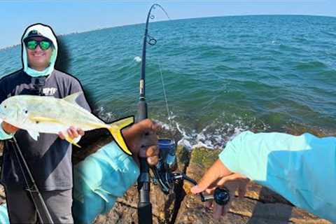 Jack Crevalle Fishing 101 | Everything You Need to Know