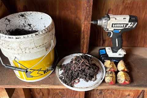 Free DIY Worm Farm - Never buy Fishing Bait Again!