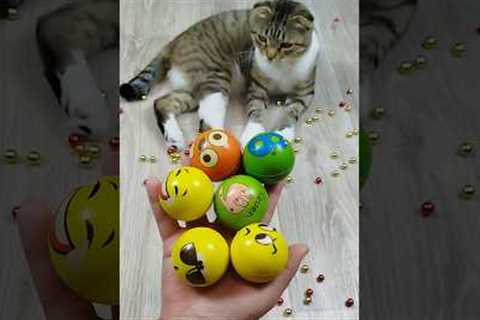 Balls 😁🐱 Cat Barsik Reverse Video #funnyreversecat #cat #catfunny #funny #funnyreverse #kitten