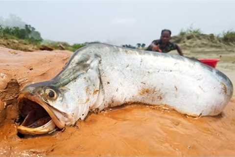 “How to Catch Big Fish: Proven Fishing Tips &amp; Tricks for 2025” Fishing by locals 