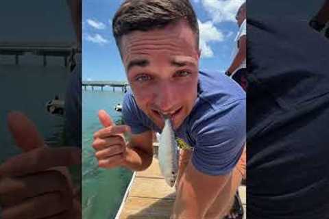 WHEN PLAYING WITH THE FISH GOES RIGHT