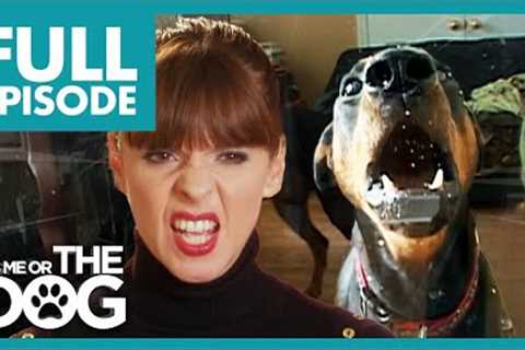 Victoria Tries to Tame Two Unruly Dobermans! | Full Episode | It's Me or The Dog