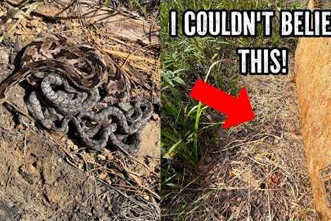 7 Rattlesnakes Under One Log! Insane Early Fall Herping in North Georgia