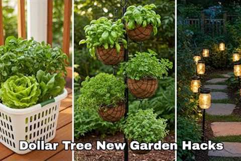 15 Dollar Tree Garden Hacks NOBODY Talks About (Transform Your Garden)