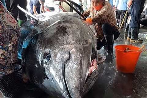 From catching a 500kg bluefin tuna to butchering and preparing dishes