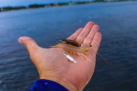 The Secret Easiest Way to Catch Saltwater Fish