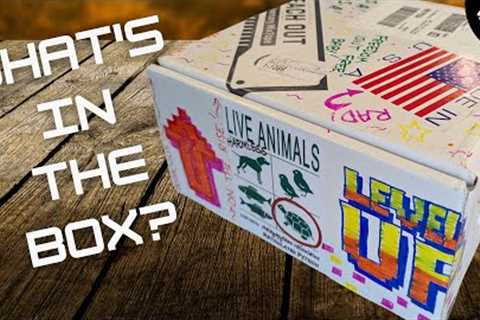 I Don’t Do Unboxings, but for THIS Box, I’ll Make an Exception!