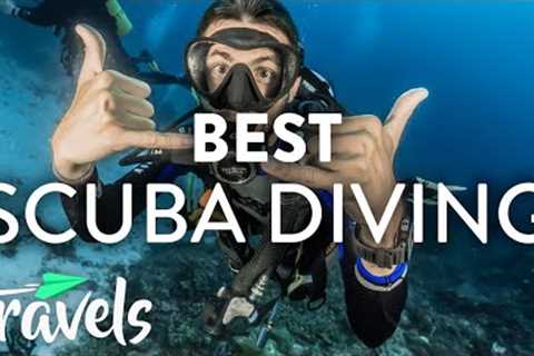 Top 5 Caribbean Scuba Diving Destinations | MojoTravels