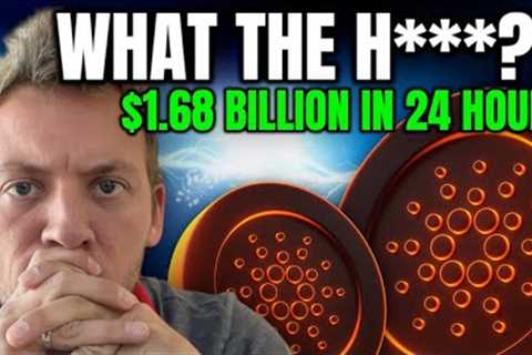 CARDANO ADA - $1.68 BILLION IN 24 HOURS!!! WHAT THE H***?!!