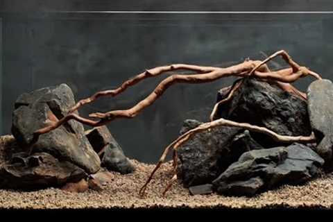 professional home freshwater fish tank setup, and the best natural sand and rock aquarium 