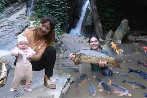 Catching stream fish with forest leaves, nutritious stream fish dish for your beloved daughter
