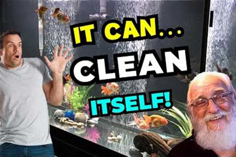 The Master's Guide to a Healthy Aquarium