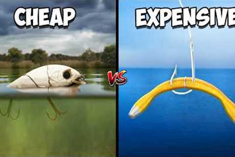 Cheap vs Expensive Fishing Challenge