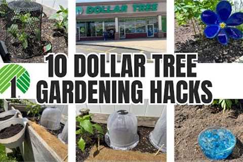 10 Dollar Tree Gardening Hacks ~ Ideas!!