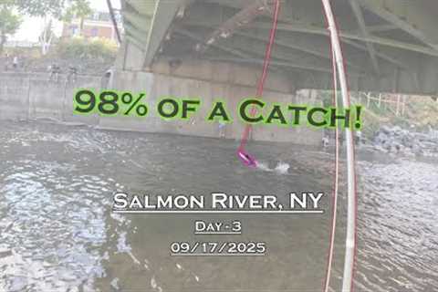 Fly Fishing For Salmon - Day 3 - Salmon River, NY (09/17/2025) - 98% of a Catch!