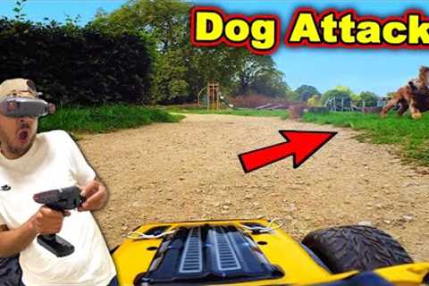 This Dog Chased Me FPV RC Cars In N Out Troll Prank