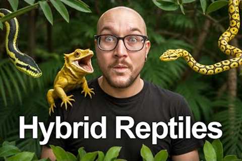 5 INSANE Reptile Hybrids YOU Can Buy Right Now!