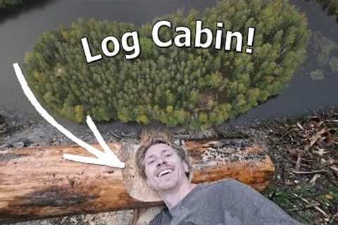 First Logs for Our Log Cabin! | Building a Log Cabin On Our Island Ep.6