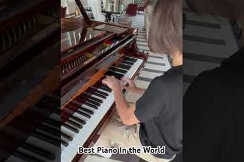 The BEST PIANO in the WORLD 🌎 #piano #pianist #stelioskerasidis #prodigy #steinway