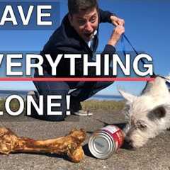 How To Train Your Dog To Leave EVERYTHING Alone -- EVERYWHERE!