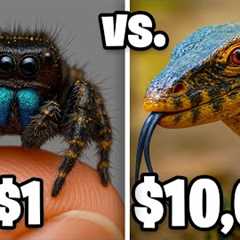 $1 vs $10,000 Exotic Pet