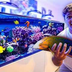 Finally BUYING FISH for My 300G SALTWATER AQUARIUM!!