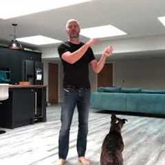 Teach your dog to focus on you