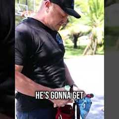 The Secret to a Rock-Solid “Stay” Command!