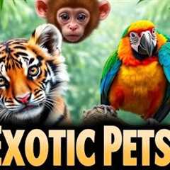 Illegal Exotic Pets You Should Never Own