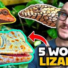 DO NOT Get These Pet Lizards! Get These Ones Instead!