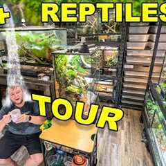 Reptile ROOM Tour March 2024!! Over 100 pet reptiles!!
