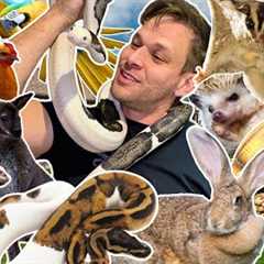 Feeding 100+ Exotic Pets: My INSANE Daily Routine