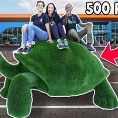 I Bought a 550 Pound Tortoise For My Reptile Zoo!