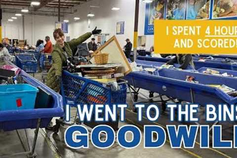 MY BEST GOODWILL BINS DAY EVER! | Thrift with Me for Resale