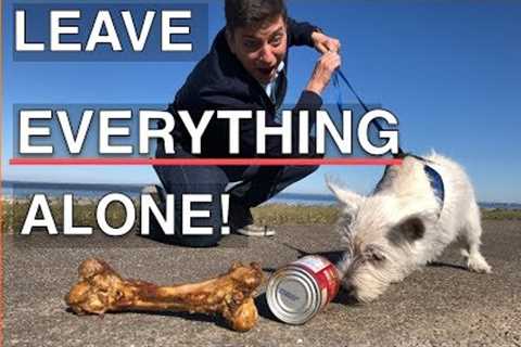 How To Train Your Dog To Leave EVERYTHING Alone -- EVERYWHERE!