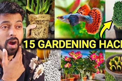 My 15 Gardening Hacks to Grow Plants, DIY Home Garden ideas (Part-6)