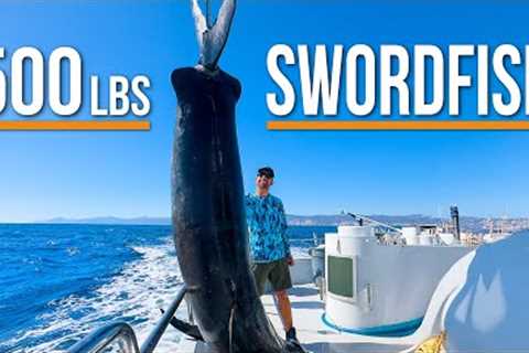 Sight Fishing Monster Swordfish on the Surface