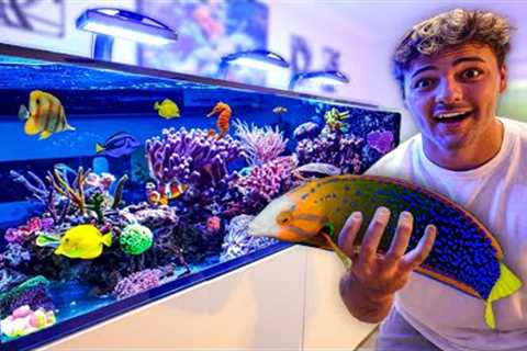 Finally BUYING FISH for My 300G SALTWATER AQUARIUM!!