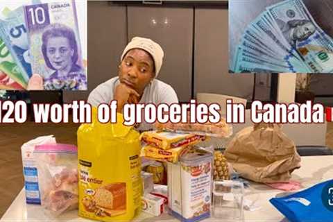 Is it worth it in Canada 🇨🇦??? + $120 grocery shopping. 