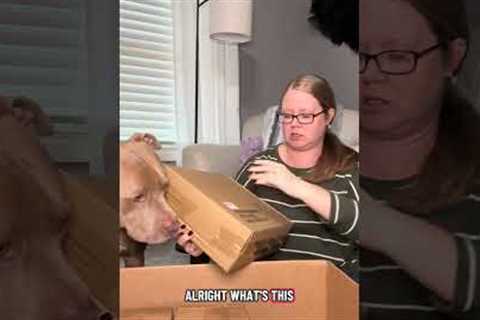 10/29 Another Amazon Mystery Box from my Pallet