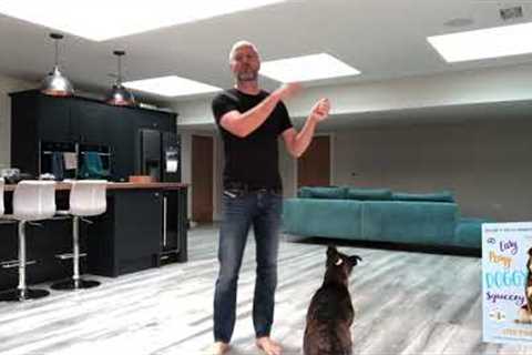 Teach your dog to focus on you