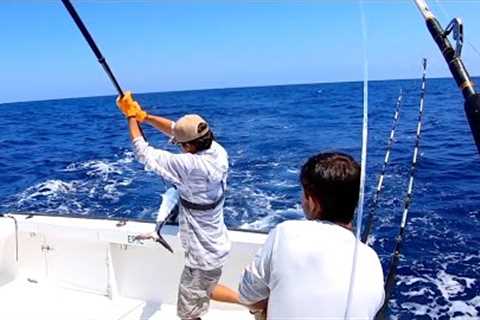 FOUR HOURS Offshore Fishing WAHOO, TUNA, MAHI