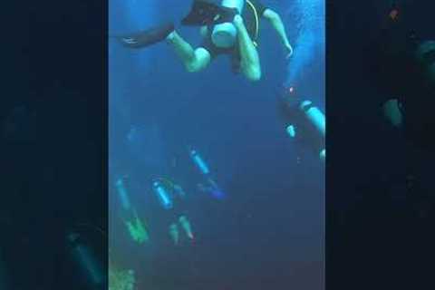 Diving deep in the Blue Hole in BELIZE!