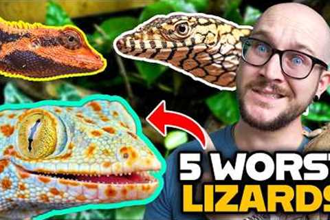 DO NOT Get These Pet Lizards! Get These Ones Instead!