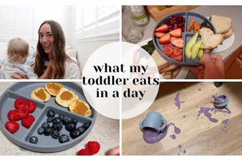 What my Toddler Eats in a Day (easy vegan healthy recipes for BUSY moms)