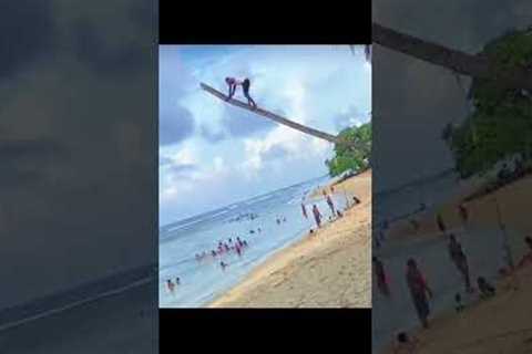 expect the unexpected! #videos #life #travel #fail #beach #humor #funny #fun #subscribe #nature