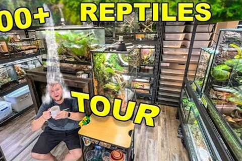 Reptile ROOM Tour March 2024!! Over 100 pet reptiles!!
